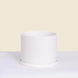 Medium White Pot