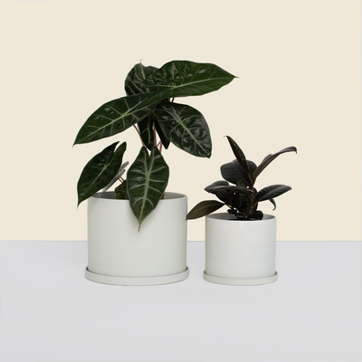 Bundle of Grey Plant Pots