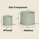 Product Size Comparison Sage Small