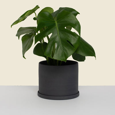     Medium Charcoal Planter
