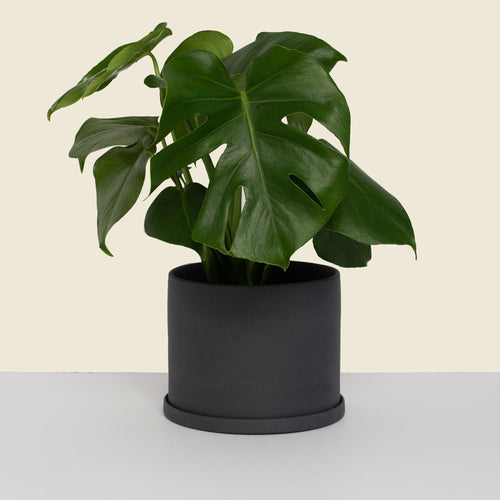     Medium Charcoal Planter